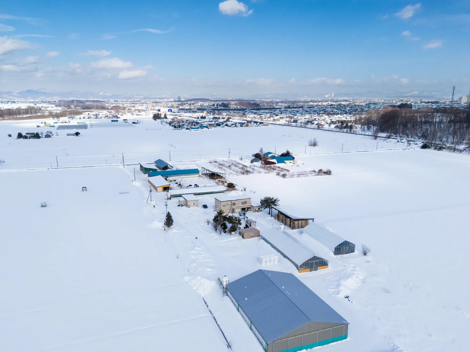 A drone photo of Takeda Farm in the foreground and Asahikawa City in the background.