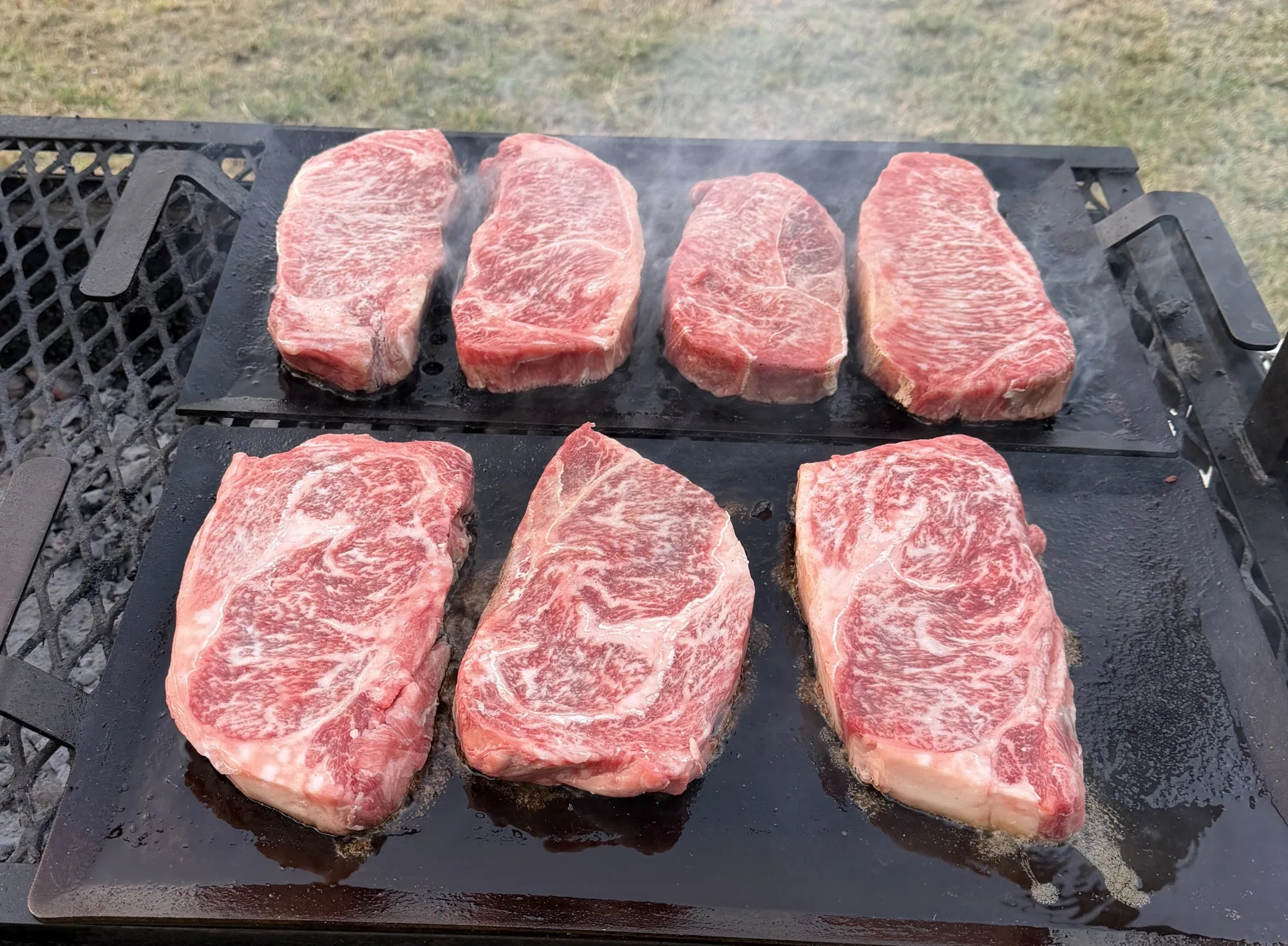 NY strips on the grill, marbling detail